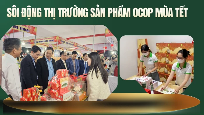 Sôi động thị trường sản phẩm OCOP mùa Tết