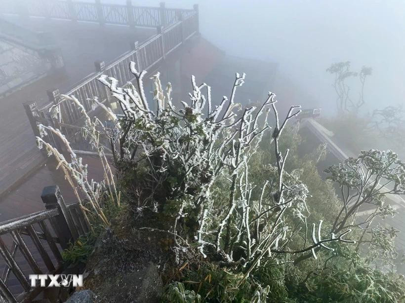 Vùng núi cao các tỉnh Bắc Bộ đề phòng băng giá và mưa tuyết. Ảnh minh họa. (Ảnh: TTXVN phát)