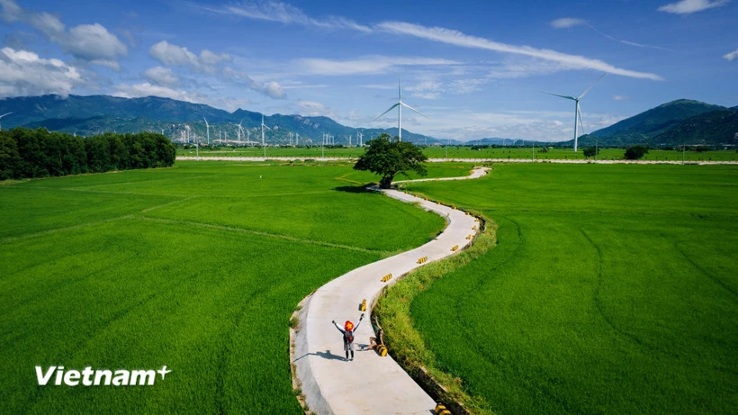 Cánh đồng điện gió Đầm Nại, tỉnh Khánh Hòa (thuộc tỉnh Ninh Thuận trước khi sáp nhập). (Ảnh: Vương Nam/Vietnam+)
