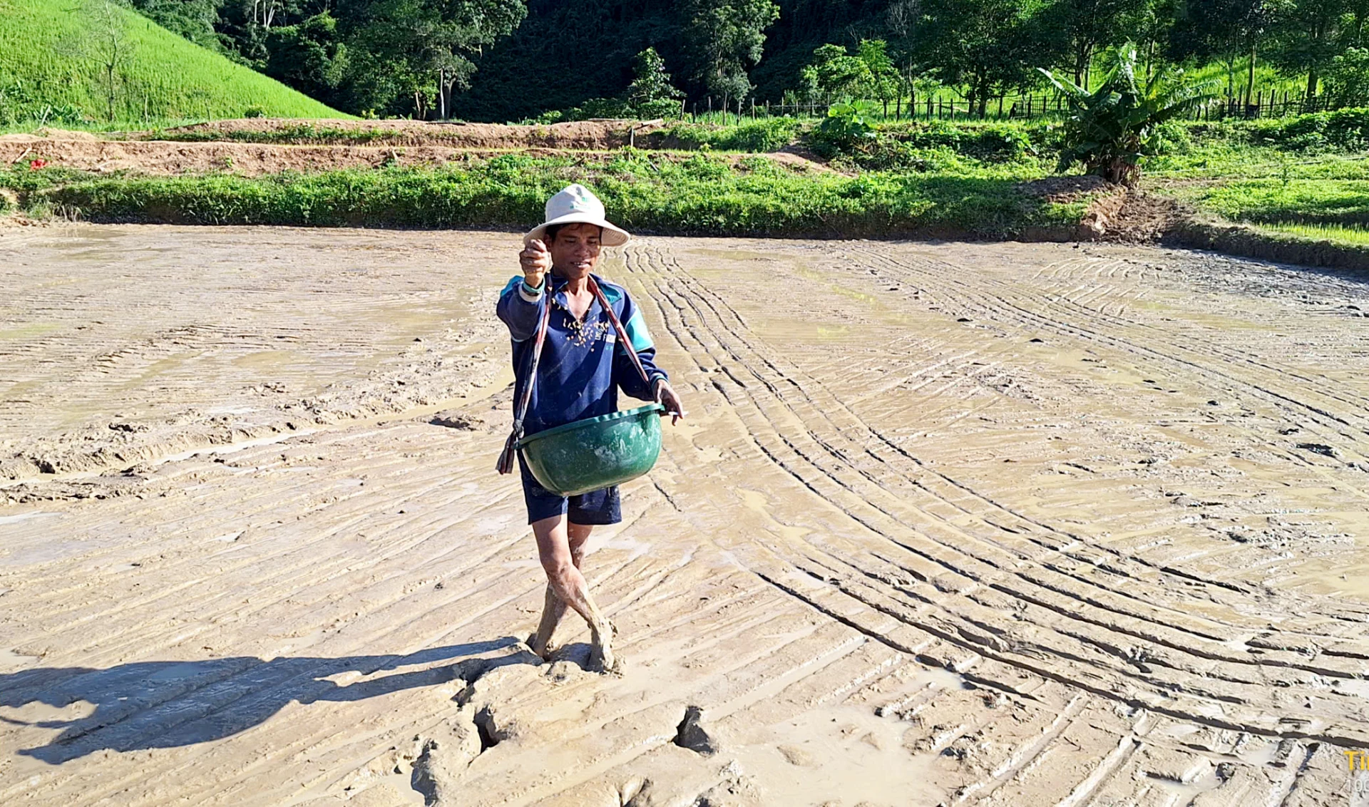 Người dân cụm bản Chiêng Túp dần quen với cách sản xuất lúa nước do cán bộ kỹ thuật Việt Nam chuyển giao - Ảnh: T.L