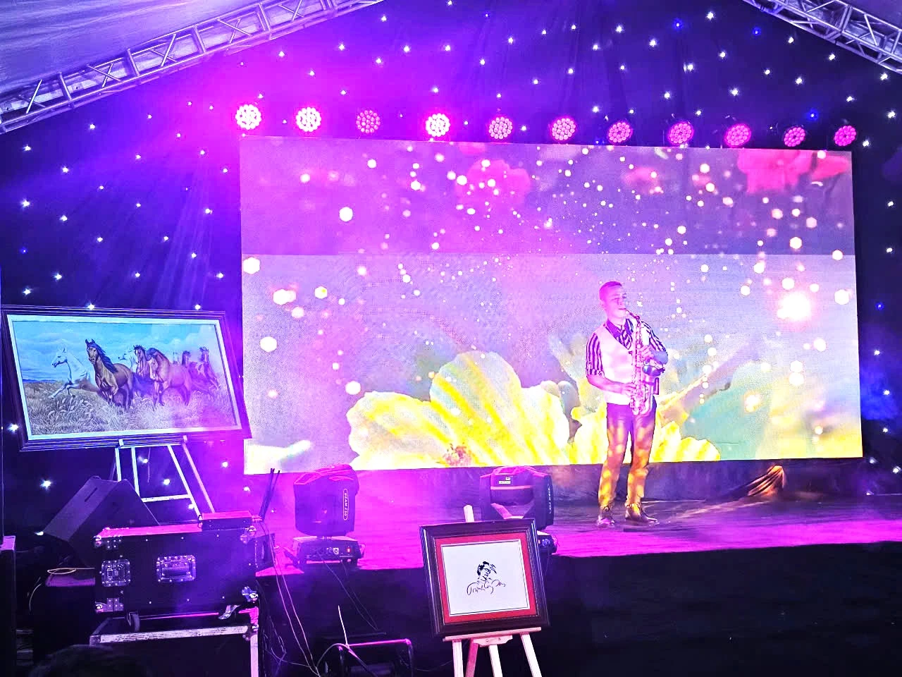 Một tiết mục biểu diễn kèn Saxophone tại đêm nhạc - Ảnh: MT