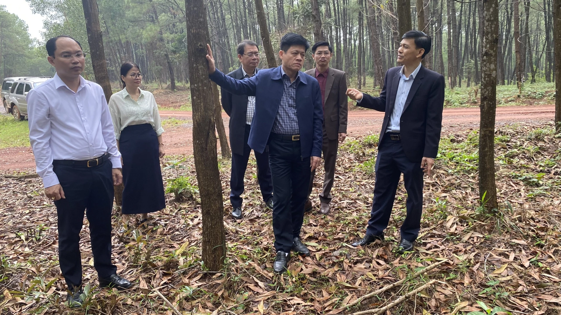 Đoàn công tác kiểm tra thực địa và nghe báo cáo hiện trạng rừng - Ảnh: MT