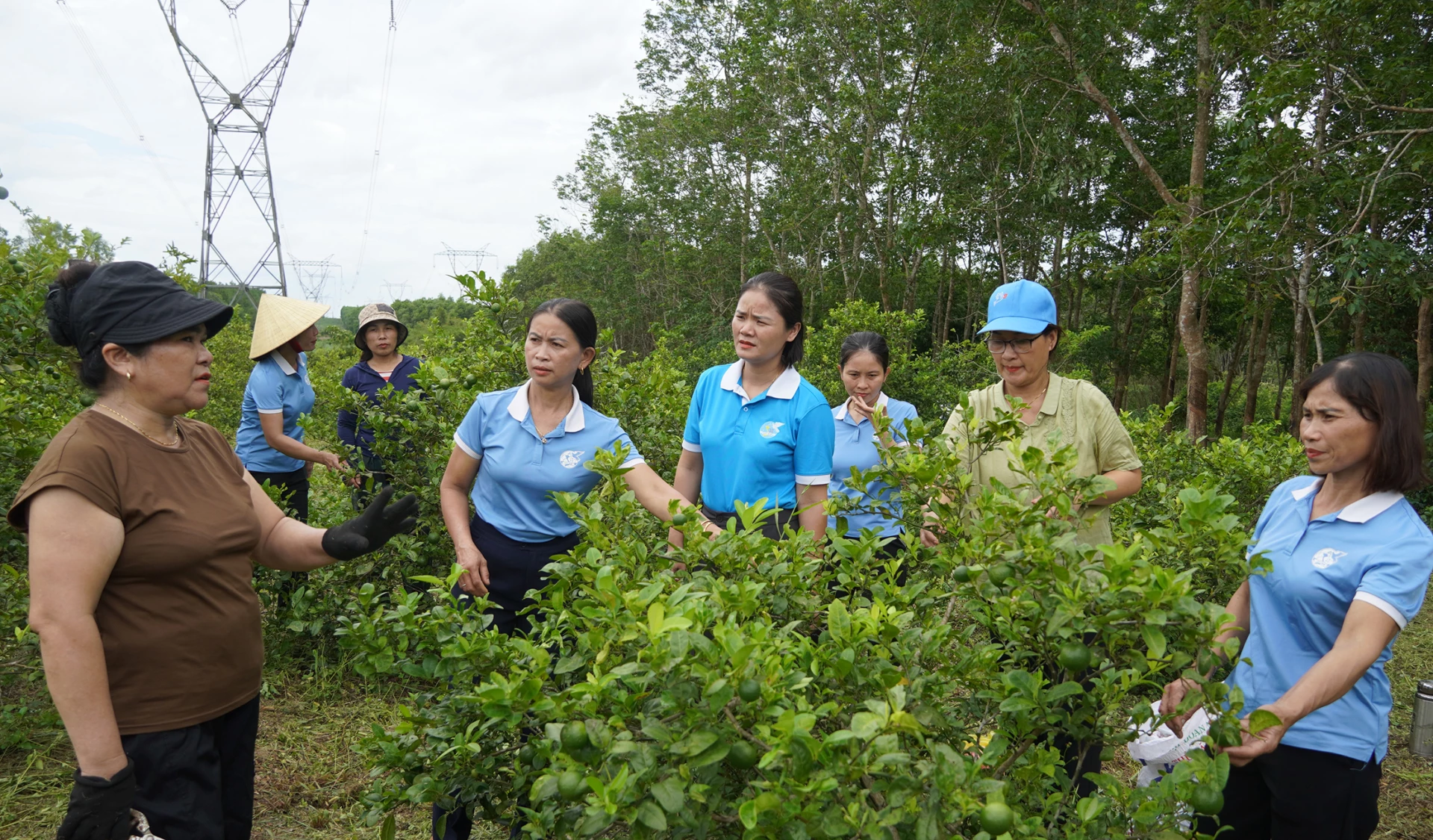 Các hội viên phụ nữ tham quan, học hỏi kinh nghiệm tại mô hình phát triển trang trại ở xã Trường Phú-Ảnh: L.M