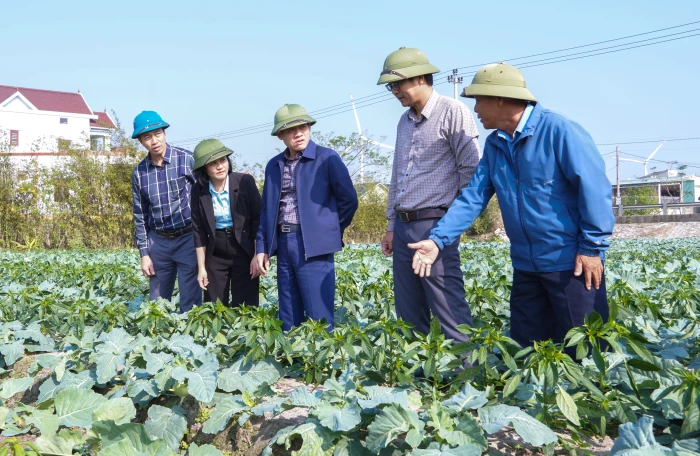 Phó Chủ tịch UBND tỉnh Lê Văn Bảo kiểm tra tình hình sản xuất nông nghiệp tại các địa phương