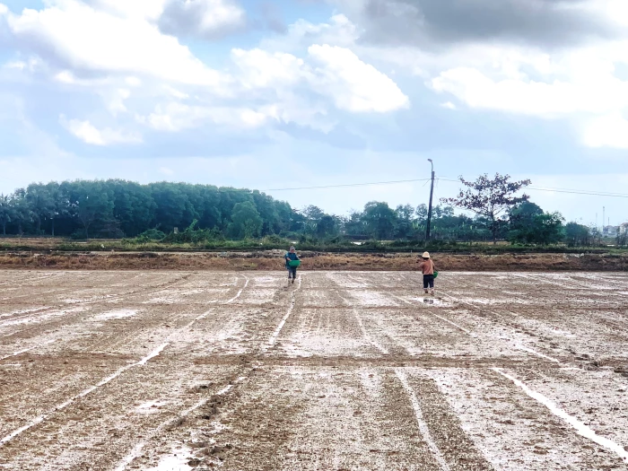 Nông dân khẩn trương sản xuất vụ đông-xuân