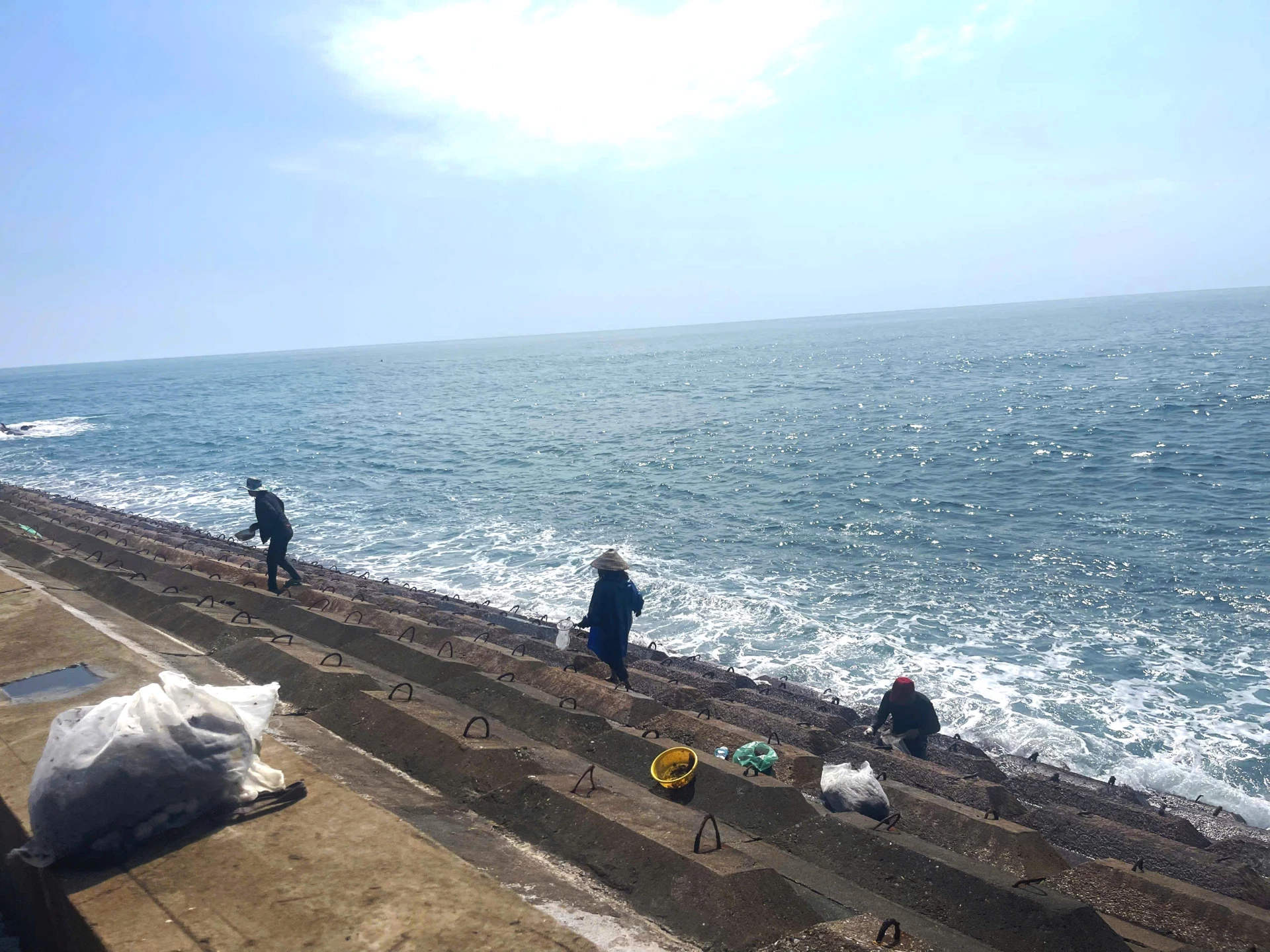 Người dân đặc khu Cồn Cỏ khai thác rong mứt dọc theo các bờ kè chắn sóng- Ảnh: Đ.V