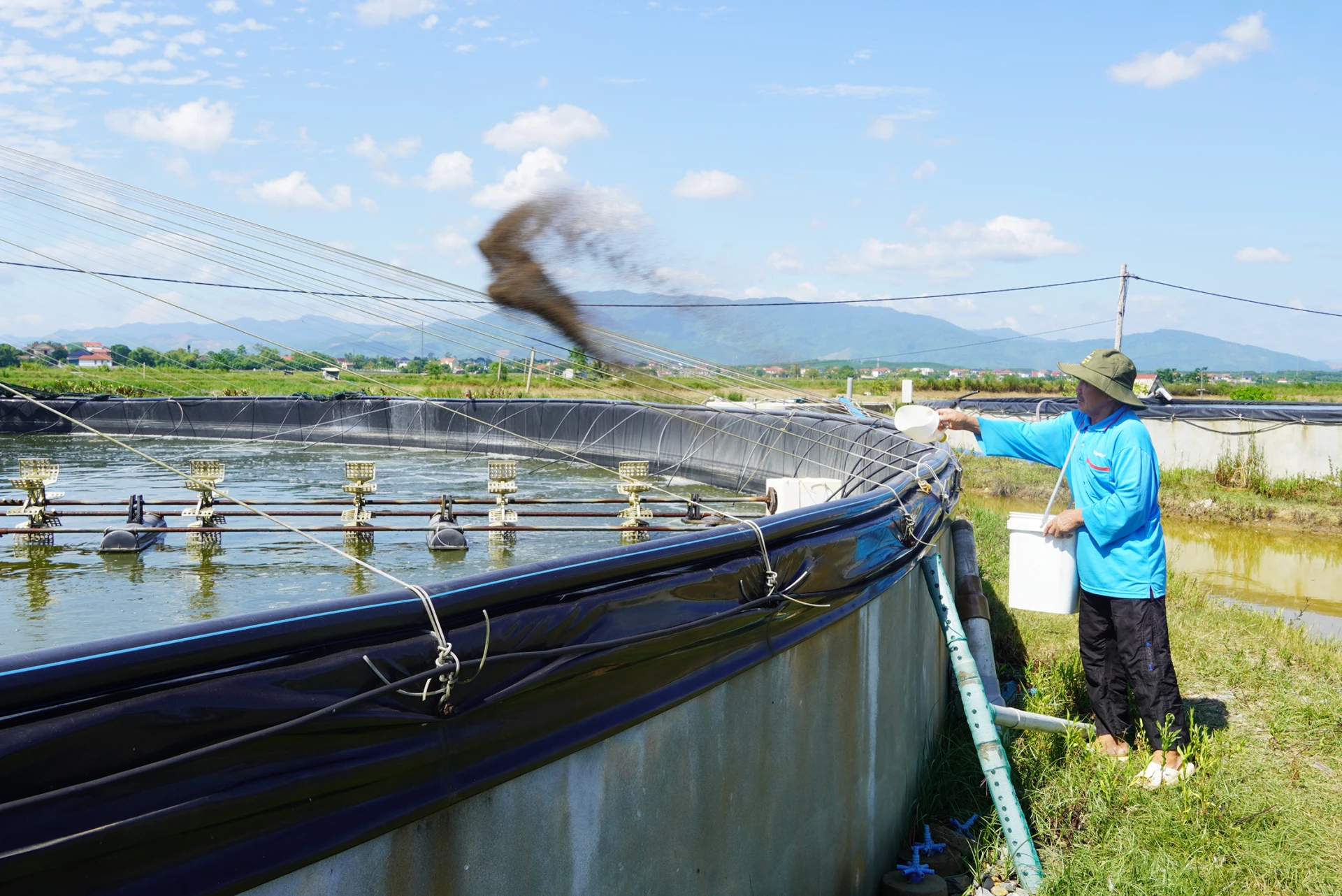Mô hình nuôi tôm giúp nhiều hộ dân trên địa bàn xã Hoàn Lão nâng cao thu nhập, cải thiện đời sống - Ảnh: C.N
