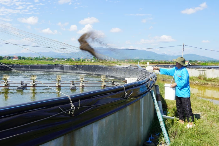 Giảm nghèo bền vững, thúc đẩy phát triển kinh tế-xã hội địa phương