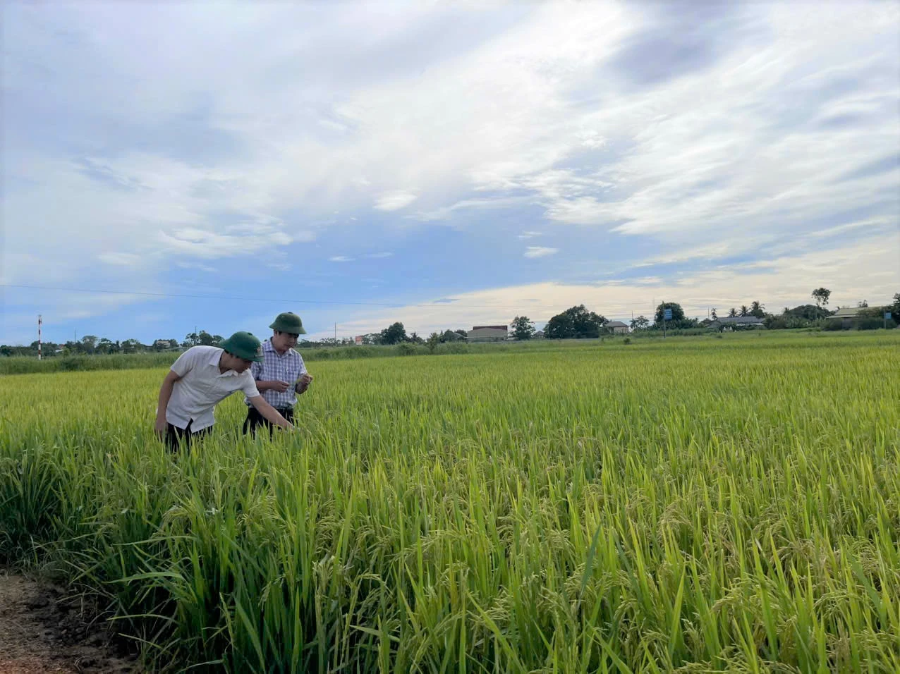 QTO - Bám sát Nghị quyết Đại hội đại biểu Đảng bộ xã lần I, nhiệm kỳ 2025-2030, hiện nay Đảng ủy xã Gio Linh đang tập trung lãnh đạo hệ thống. chính trị địa phương phát triển kinh tế với nhiều giải pháp đồng bộ, hiệu quả.