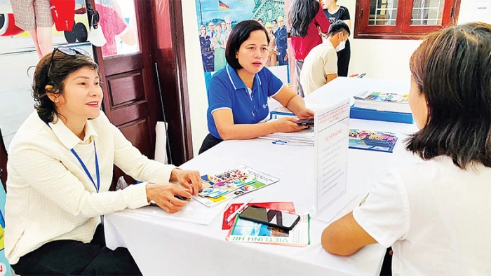 Ban hành 5 thủ tục hành chính cấp tỉnh về lĩnh vực việc làm