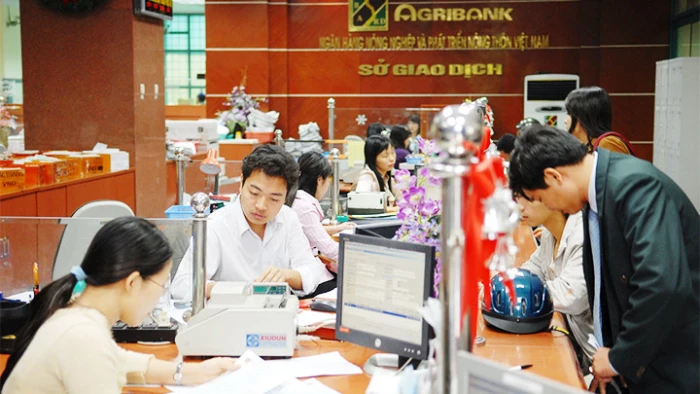 Những chính sách mới nổi bật có hiệu lực từ tháng 2/2026