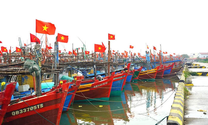 Chuyển đổi tàu cá theo hướng khai thác bền vững