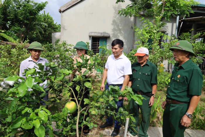 Đẩy mạnh liên kết sản xuất, nâng cao giá trị cây trồng