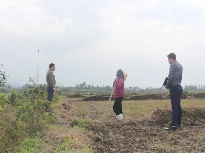 Nghi vấn phun thuốc diệt cỏ tràn lan trên đồng ruộng