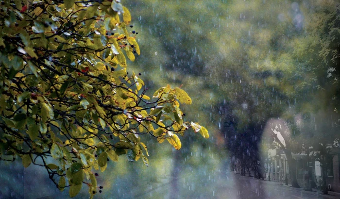 Tản văn: Mùa gọi về