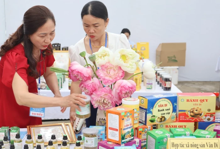 Toàn tỉnh có 403 sản phẩm OCOP được công nhận