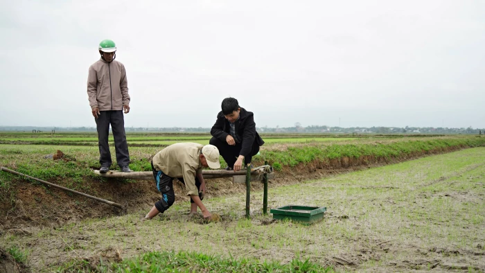 Dự kiến toàn tỉnh có 6.000ha lúa thực hiện tưới ngập khô xen kẽ trong vụ đông-xuân