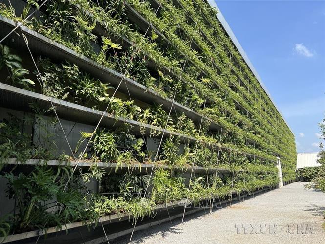 Những khu công nghiệp xanh áp dụng công nghệ hiện đại tại Bình Dương. Ảnh: Dương Chí Tưởng/TTXVN