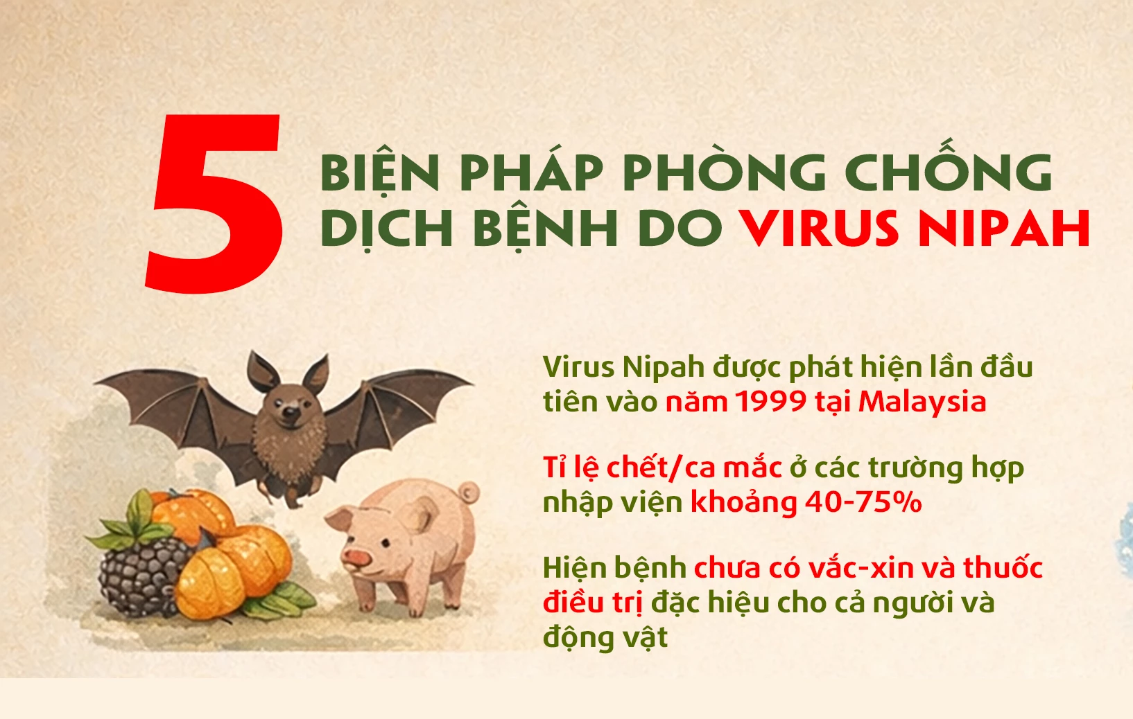 5 biện pháp phòng chống dịch bệnh do virus Nipah