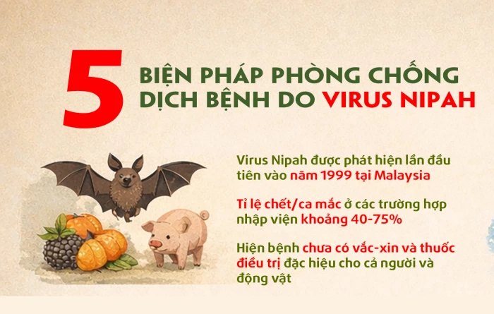 5 biện pháp phòng chống dịch bệnh do virus Nipah