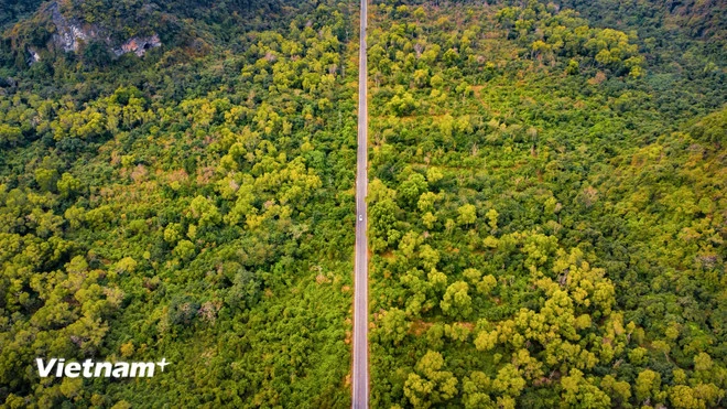 Con đường thẳng tắp trên đảo Cát Bà. (Ảnh: Vương Nam/Vietnam+)