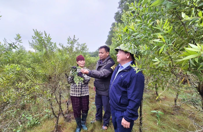 Khát vọng vươn mình từ thế mạnh 'biển bạc, đồng xanh'