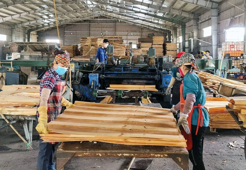 Việc hoàn thuế góp phần tháo gỡ khó khăn cho doanh nghiệp - Ảnh: L.Chi