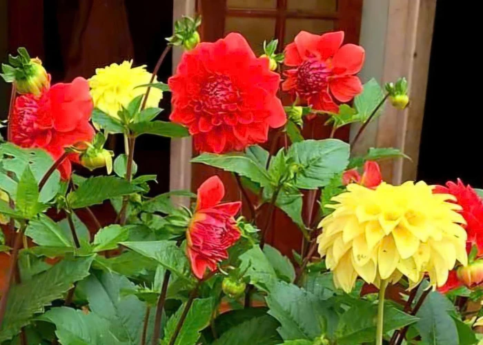 Đếm ngược yêu thương để trở về