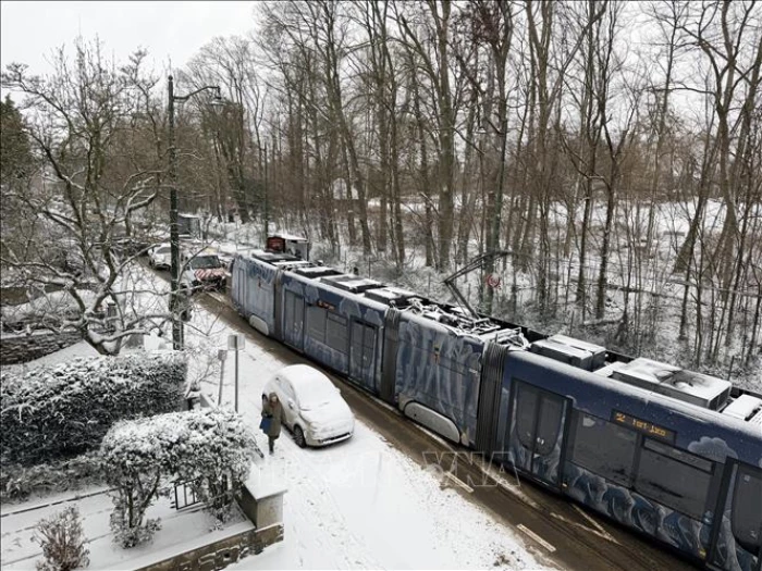 Châu Âu chật vật trong băng tuyết, ít nhất 8 người thiệt mạng