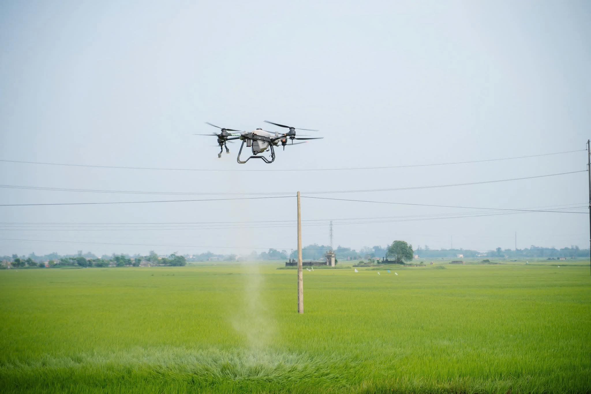 Sử dụng thiết bị bay không người lái trong sản xuất - Ảnh: X.D