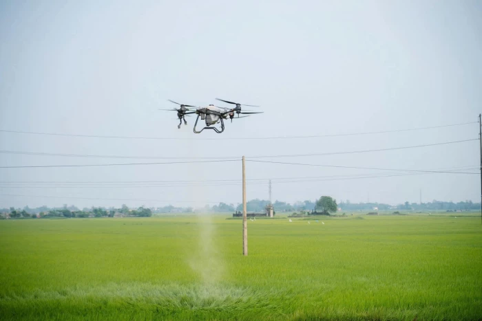 Tiên phong chuyển đổi số