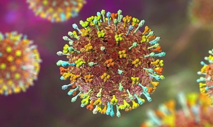 Nhật Bản thử nghiệm lâm sàng vaccine ngừa virus Nipah