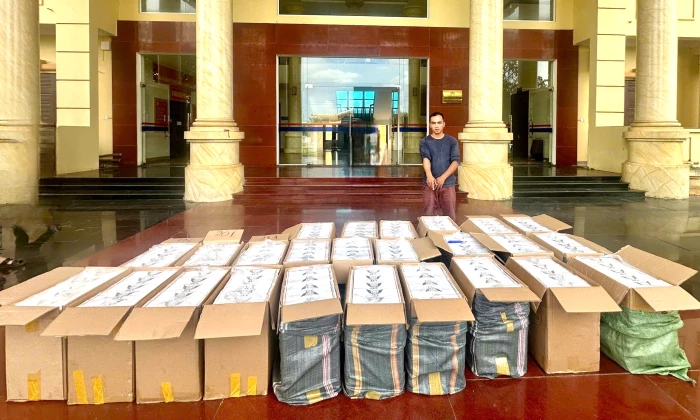 Phát hiện vụ vận chuyển số lượng lớn thuốc lá lậu