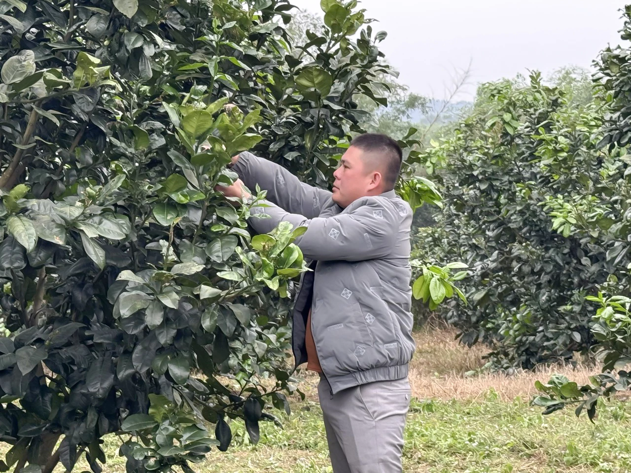 Ông Đỗ Tiến Tình, thôn Hương Thi, xã Trường Phú - Ảnh: N.H