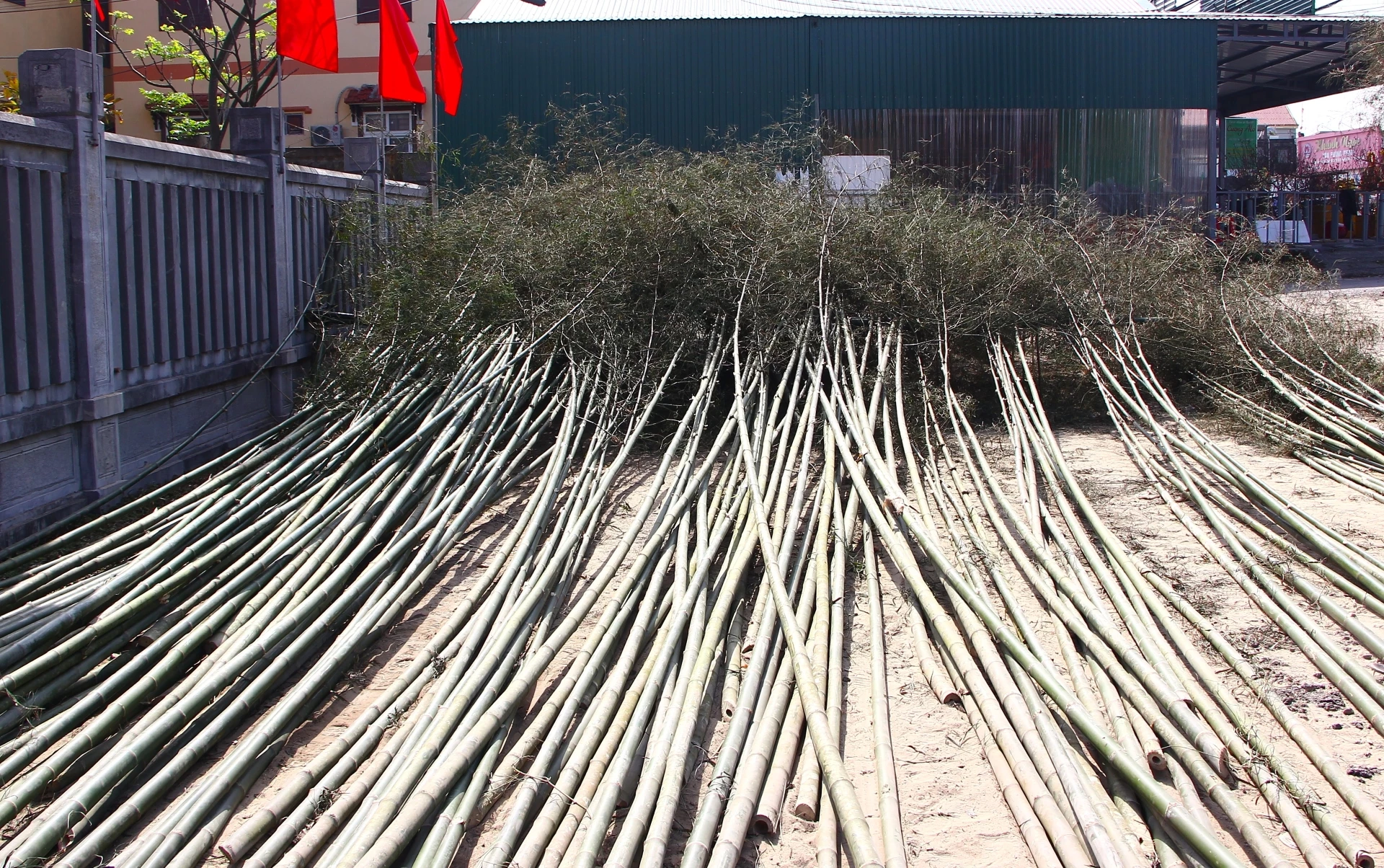 Mỗi cây nêu tại chợ dao động từ 200.000 đồng đến 300.000 đồng - Ảnh: N.M.P