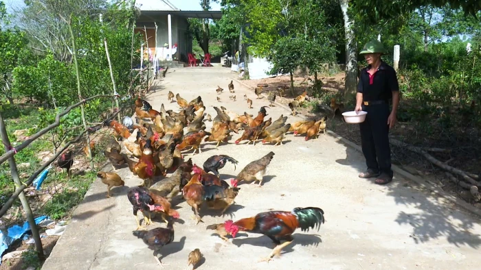 Để đất đồi 'nở hoa'