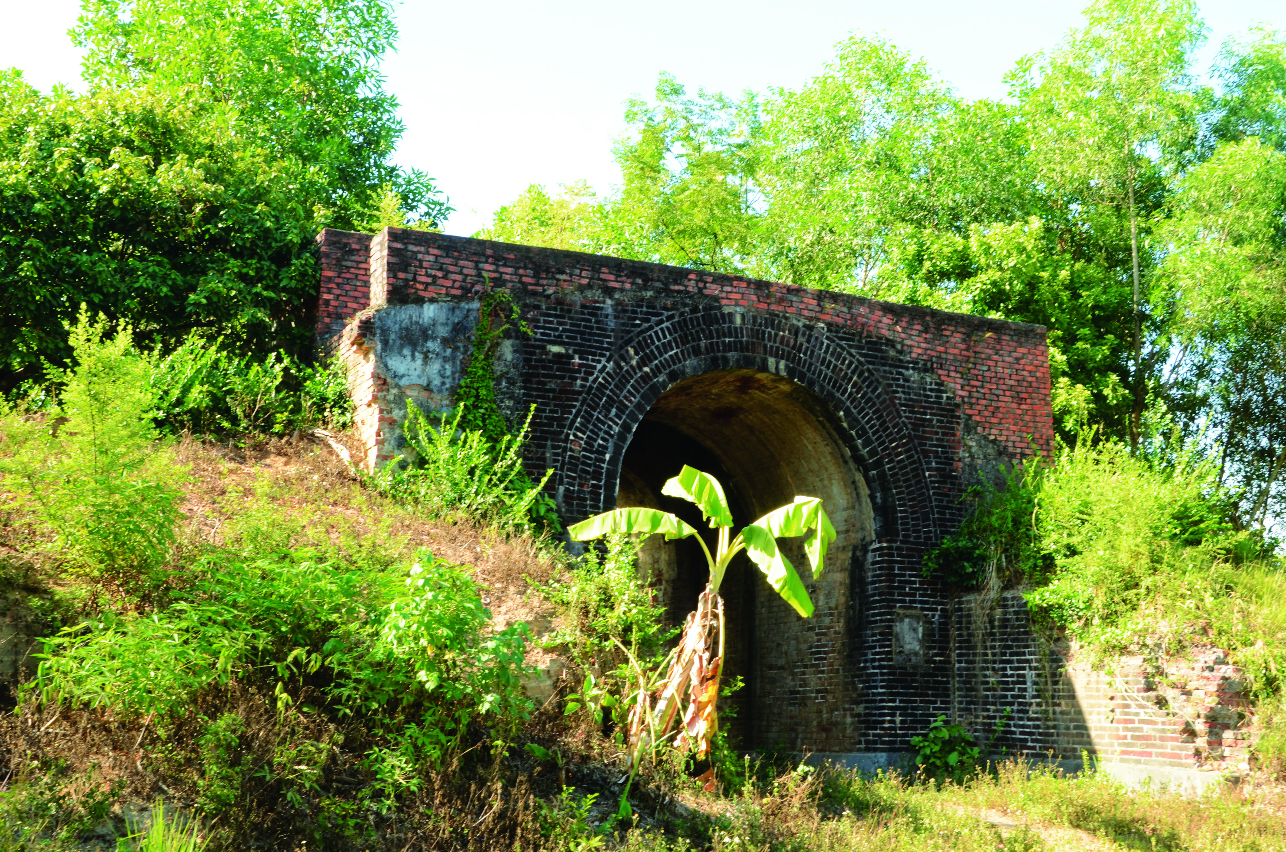 Tản mạn xuân về công nghiệp văn hóa Quảng Trị