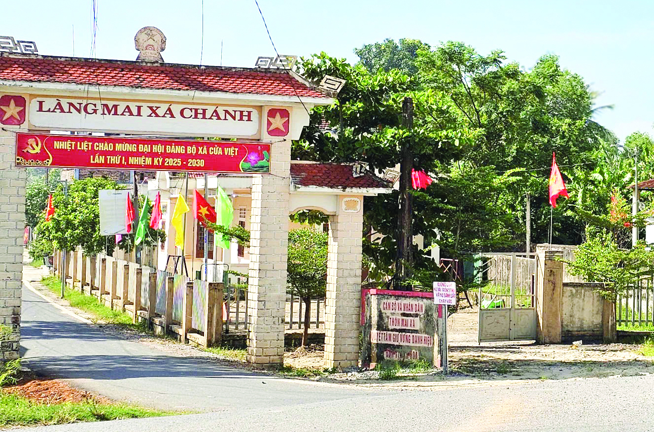 Chị về ăn Tết quê