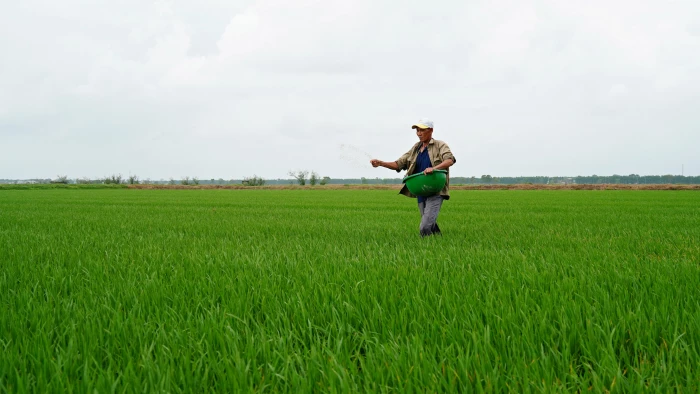 Nông dân ra đồng ngay từ đầu năm mới