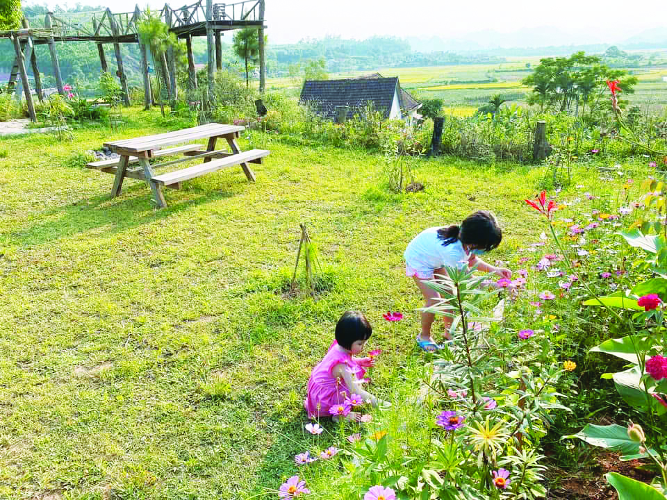 Mùa xuân trong thơ Quảng Trị