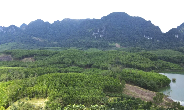 'Nghệ nhân' nuôi ong