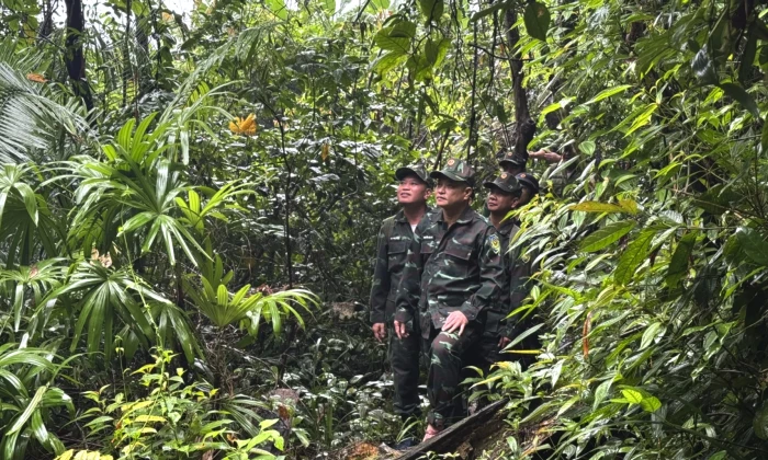 Nâng cao hiệu quả giám sát đa dạng sinh học và bảo vệ rừng