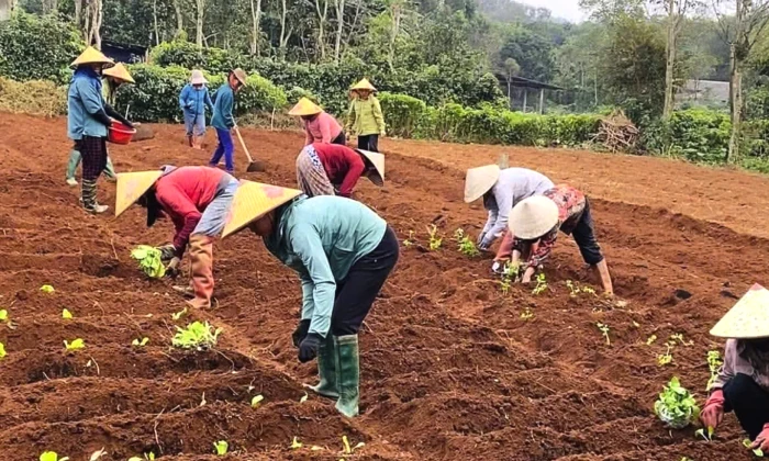 Phụ nữ giúp nhau lúc khó khăn, hoạn nạn