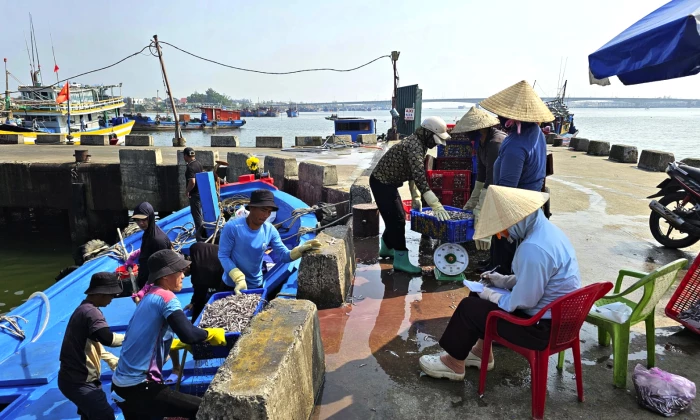 Kỳ vọng từ những chuyến biển đầu năm