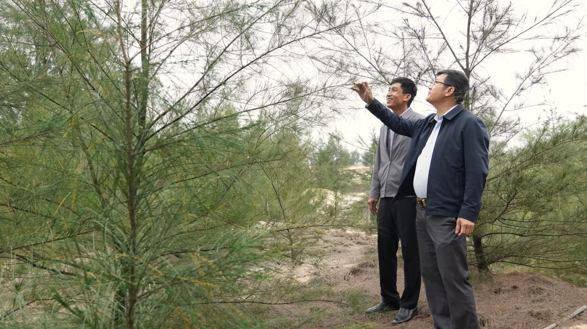 Cán bộ BQL RPH Đồng Hới và ven biển tỉnh Quảng Trị kiểm tra các diện tích cây phi lao được trồng trong phong trào Tết trồng cây - Ảnh: QV