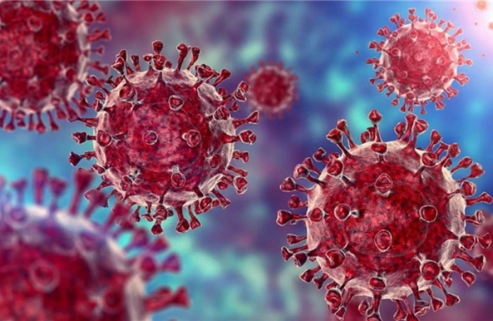 Ứng dụng AI để 'giải mã' hệ miễn dịch con người