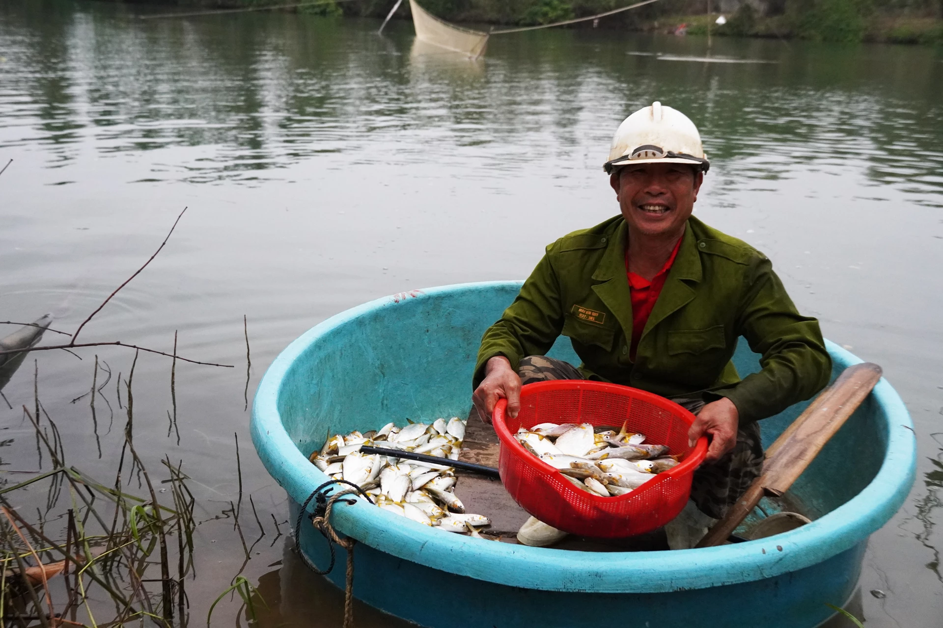 Ông Mai Xuân Hào vui mừng với những mẻ cá mòi từ giàn rớ của mình - Ảnh: P.P