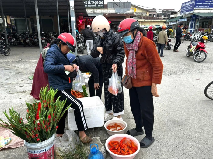 Nhộn nhịp thị trường cá chép Tết ông Công ông Táo