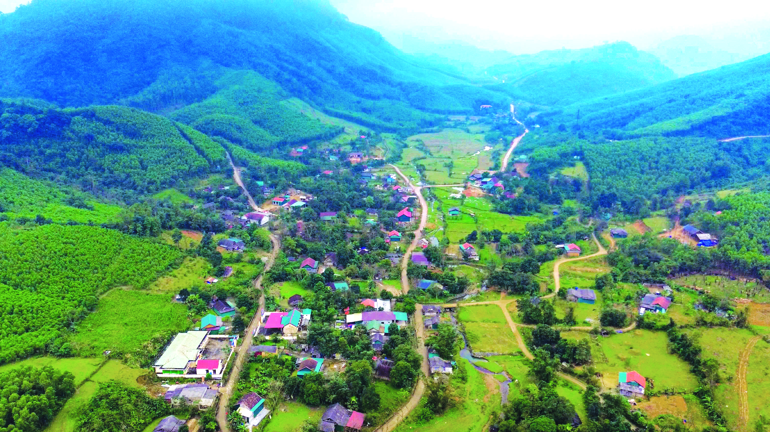 'Báo vàng' của người Rục