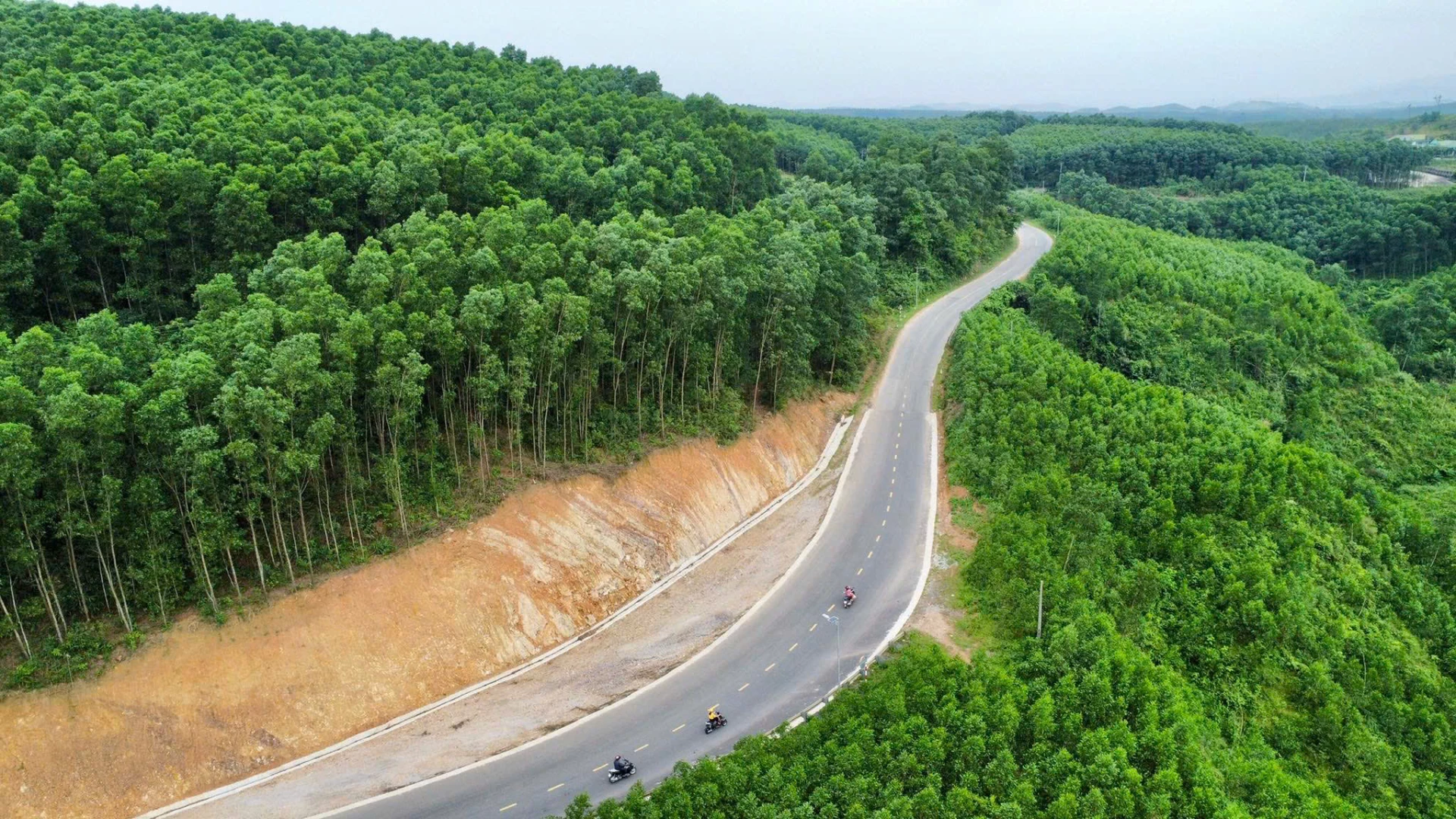 Toàn tỉnh Quảng Trị hiện có trên 460 nghìn ha rừng sản xuất - Ảnh: H.T